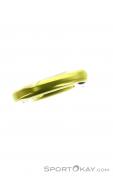 AustriAlpin Ovalo Carabiner, Austrialpin, Yellow, , , 0087-10032, 5637528897, 9006381300129, N5-20.jpg