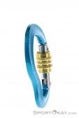 AustriAlpin Micro Locking Carabiner, Austrialpin, Blue, , , 0087-10033, 5637529051, 9006381420124, N2-17.jpg