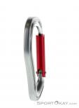 Wild Country Electron Straight Carabiner, Wild Country, Red, , , 0243-10025, 5637530131, 5033286111998, N2-17.jpg