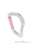 Wild Country Electron Straight Carabiner, Wild Country, Red, , , 0243-10025, 5637530131, 5033286111998, N3-13.jpg