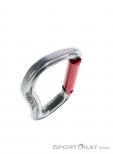 Wild Country Electron Straight Carabiner, Wild Country, Rojo, , , 0243-10025, 5637530131, 5033286111998, N4-19.jpg