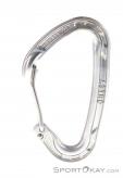 Wild Country Astro Carabiner, Wild Country, Gray, , , 0243-10026, 5637530141, 5033286031517, N1-11.jpg