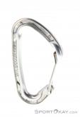 Wild Country Astro Carabiner, Wild Country, Sivá, , , 0243-10026, 5637530141, 5033286031517, N2-02.jpg