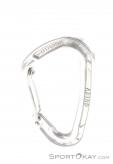 Wild Country Astro Carabiner, Wild Country, Gray, , , 0243-10026, 5637530141, 5033286031517, N2-12.jpg