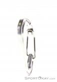 Wild Country Astro Carabiner, Wild Country, Gray, , , 0243-10026, 5637530141, 5033286031517, N2-17.jpg