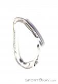 Wild Country Astro Carabiner, Wild Country, Gris, , , 0243-10026, 5637530141, 5033286031517, N3-03.jpg