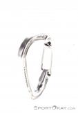 Wild Country Astro Carabiner, Wild Country, Gris, , , 0243-10026, 5637530141, 5033286031517, N3-18.jpg