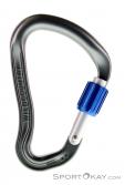 Wild Country Ascent Lite HMS Locking Carabiner, Wild Country, Gray, , , 0243-10027, 5637530150, 5033286111028, N1-01.jpg