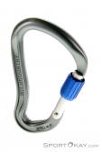 Wild Country Ascent Lite HMS Locking Carabiner, Wild Country, Gray, , , 0243-10027, 5637530150, 5033286111028, N2-02.jpg