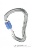 Wild Country Ascent Lite HMS Locking Carabiner, Wild Country, Gray, , , 0243-10027, 5637530150, 5033286111028, N2-12.jpg