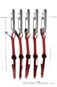 Wild Country Astro Quickdraw Set, Wild Country, Rouge, , , 0243-10036, 5637530224, 0, N2-12.jpg