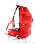 Osprey Talon 22l Backpack, , Red, , Male,Female,Unisex, 0149-10065, 5637531090, , N1-16.jpg
