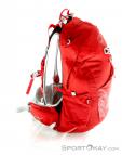 Osprey Talon 22l Backpack, , Red, , Male,Female,Unisex, 0149-10065, 5637531090, , N2-17.jpg
