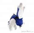 Ortovox SW Mitten Freeride Gloves, Ortovox, Blue, , Male,Female,Unisex, 0016-10512, 5637531944, 4250875254015, N2-07.jpg