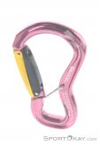 Grivel Clepsydra L K10G Twingate-Lock Carabiner, , Pink, , , 0123-10024, 5637533095, , N2-12.jpg