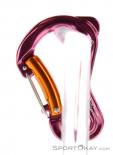 Grivel Clepsydra S Twingate Carabiner, Grivel, Pink, , , 0123-10034, 5637533120, 0, N1-11.jpg