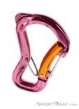 Grivel Clepsydra S Twingate Karabiner, Grivel, Pink-Rosa, , , 0123-10034, 5637533120, 0, N2-02.jpg