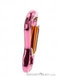 Grivel Clepsydra S Twingate Karabiner, Grivel, Pink-Rosa, , , 0123-10034, 5637533120, 0, N2-17.jpg