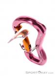 Grivel Clepsydra S Twingate Karabiner, Grivel, Pink-Rosa, , , 0123-10034, 5637533120, 0, N3-13.jpg