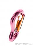 Grivel Clepsydra S Twingate Carabiner, Grivel, Pink, , , 0123-10034, 5637533120, 0, N3-18.jpg