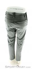 Salewa Puez DST Mens Outdoor Pants, , Gray, , Male, 0032-10435, 5637537955, , N3-13.jpg