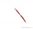 Edelrid Corazon Carabiner, , Red, , , 0084-10107, 5637538809, , N4-14.jpg