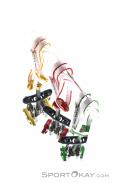 DMM Dragon 2 Set Camming Devices 2-4, , Multicolored, , , 0096-10033, 5637541936, , N4-14.jpg