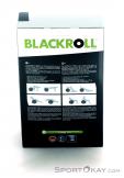Blackroll Gymball 65cm Palla da Ginnastica, Blackroll, Nero, , , 0222-10037, 5637542367, 4260346271137, N2-12.jpg