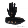 Fox Ascent Gloves Mens Biking Gloves, , Noir, , Hommes, 0236-10075, 5637544459, , N2-02.jpg