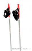 Leki Smart Carat Nordic Walking Poles, , Gray, , Male,Female,Unisex, 0012-10178, 5637553817, , N2-12.jpg