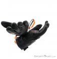 Ortovox Pro Leather Handschuhe, Ortovox, Schwarz, , Herren,Damen,Unisex, 0016-10568, 5637558662, 4250875245327, N5-20.jpg