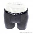 Icebreaker Anatomica Boxer Mens Functional Pants, , Gray, , Male, 0011-10201, 5637561877, , N3-03.jpg
