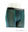 Icebreaker Anatomica Boxer Mens Functional Pants, Icebreaker, Green, , Male, 0011-10201, 5637561881, 9420053428193, N1-01.jpg