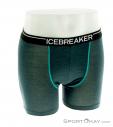 Icebreaker Anatomica Boxer Mens Functional Pants, Icebreaker, Vert, , Hommes, 0011-10201, 5637561881, 9420053428193, N2-02.jpg