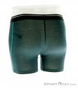 Icebreaker Anatomica Boxer Mens Functional Pants, , Green, , Male, 0011-10201, 5637561881, , N2-12.jpg