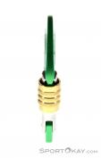 AustriAlpin Micro Eloxiert Safe Lock Carabiner, Austrialpin, Verde, , , 0087-10062, 5637563016, 9006381008995, N1-06.jpg
