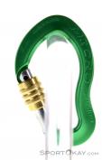 AustriAlpin Micro Eloxiert Safe Lock Carabiner, Austrialpin, Vert, , , 0087-10062, 5637563016, 9006381008995, N1-11.jpg