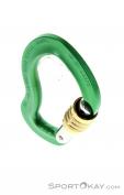 AustriAlpin Micro Eloxiert Safe Lock Carabiner, Austrialpin, Zelená, , , 0087-10062, 5637563016, 9006381008995, N3-03.jpg