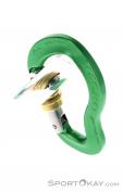AustriAlpin Micro Eloxiert Safe Lock Carabiner, Austrialpin, Green, , , 0087-10062, 5637563016, 9006381008995, N3-13.jpg