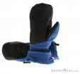 Ortovox Swisswool Freerider Gloves, Ortovox, Bleu, , Hommes,Femmes, 0016-10611, 5637563294, 4250875296794, N1-11.jpg