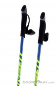 Dynafit Speed Pole Ski Touring Poles, , Multicolored, , Male,Female,Unisex, 0015-10495, 5637566933, , N3-03.jpg