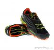 Dynafit Feline GTX Mens Trail Running Shoes Gore-Tex, , Black, , Male, 0015-10524, 5637567222, , N1-01.jpg