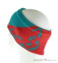 Dynafit Leopard Logo HB Headband, Dynafit, Turquoise, , Hommes,Femmes,Unisex, 0015-10529, 5637568449, 4053865738102, N1-11.jpg