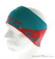 Dynafit Leopard Logo HB Headband, Dynafit, Turquoise, , Hommes,Femmes,Unisex, 0015-10529, 5637568449, 4053865738102, N2-07.jpg