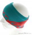 Dynafit Leopard Logo HB Headband, Dynafit, Turquoise, , Male,Female,Unisex, 0015-10529, 5637568449, 4053865738102, N3-08.jpg
