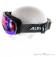 Alpina Granby QM Biking Ski Goggles, Alpina, Negro, , Hombre,Mujer, 0027-10104, 5637569341, 4003692236517, N2-07.jpg