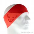 Dynafit Performance Dry Headband, Dynafit, Pink, , Male,Female,Unisex, 0015-10553, 5637569456, 0, N1-01.jpg