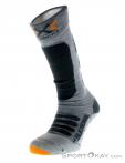 X-Bionic Silk Merino Ski Socks, X-Bionic, Sivá, , Muži,Ženy,Unisex, 0228-10060, 5637572208, 8054216049126, N1-06.jpg