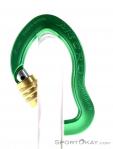 AustriAlpin Micro Eloxiert Locking Carabiner, , Green, , , 0087-10065, 5637572856, , N1-11.jpg
