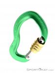 AustriAlpin Micro Eloxiert Locking Carabiner, , Green, , , 0087-10065, 5637572856, , N2-02.jpg